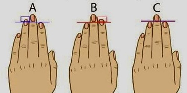 指の長さ　特徴